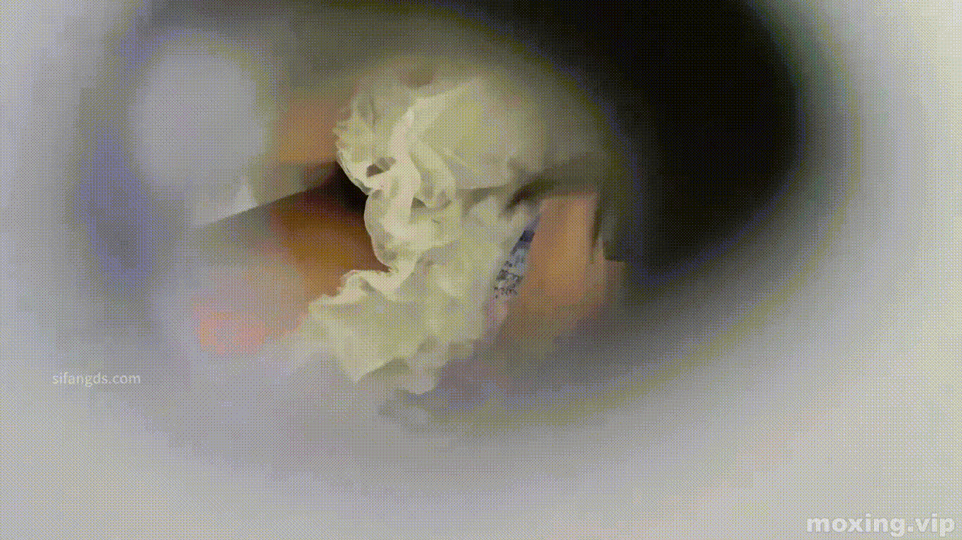 054145dlvf0rb06cbbbflc.gif