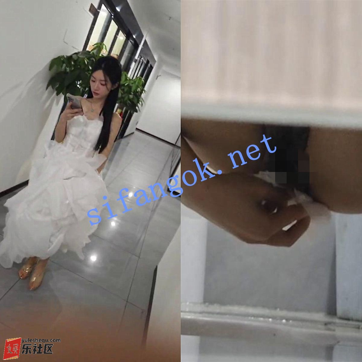 042312ht62r2rofzagrr88.jpg