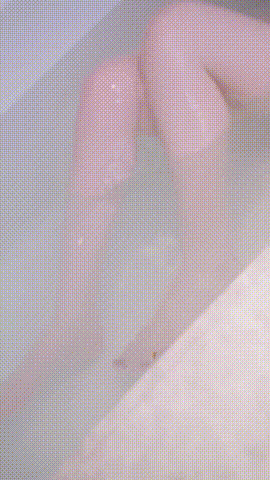 024709vxg9pz0f5mwogooc.gif