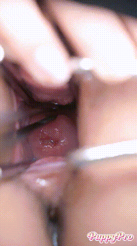 080458d2llsl45676l24z5.gif