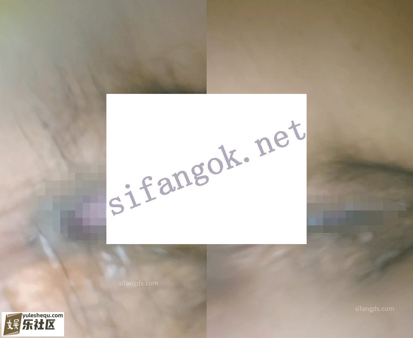 002307nkbb7wbxgeg366by.png